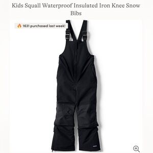 Lands End Kids Squall Waterproof Insulated Iron Knee Snow Bibs Size 14 Black
